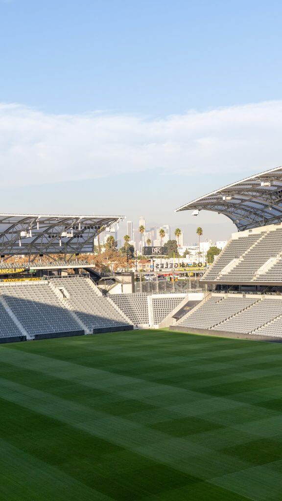 image by Drastic Graphics, LAFC
