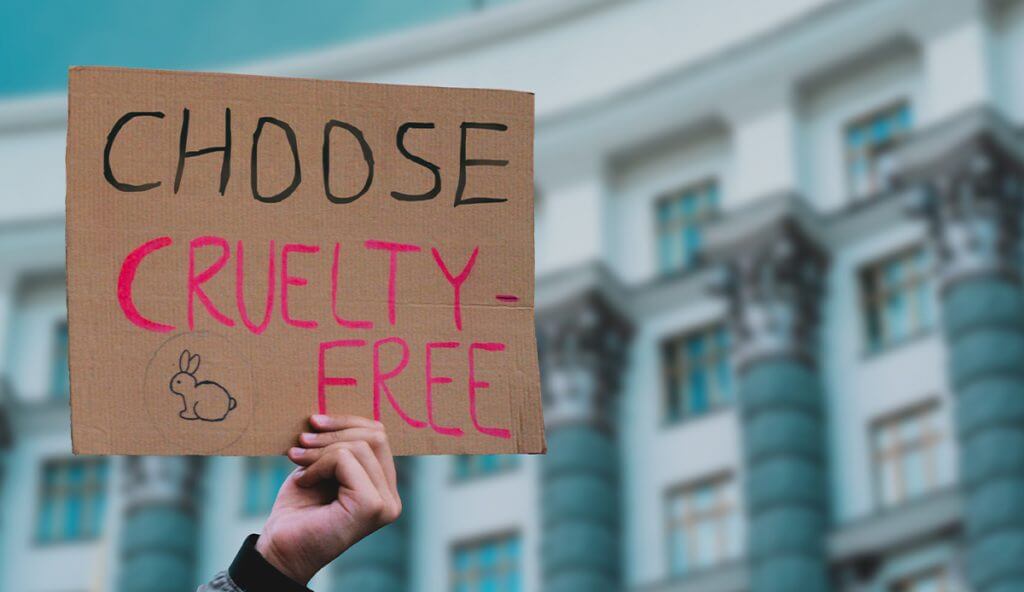 A raised banner emphasizing the need to choose cruelty free beauty subscription products