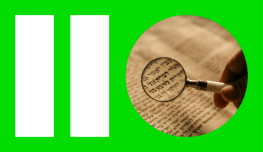 What Really Drives LLM Search Visibility?