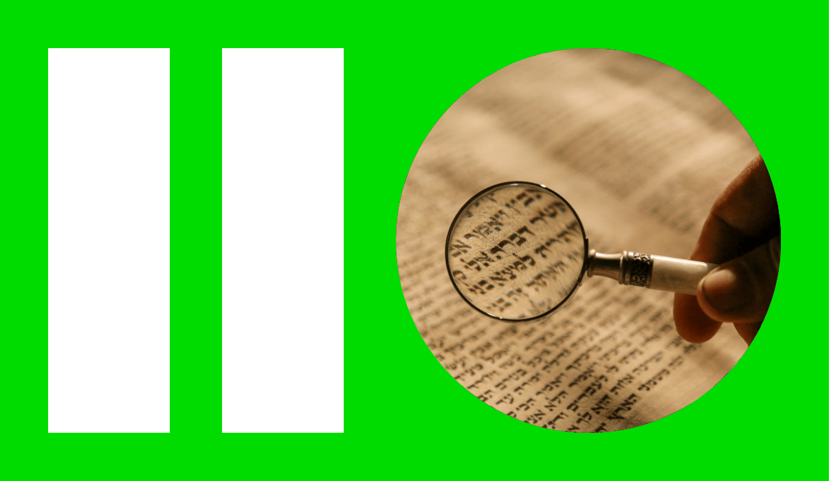 What Really Drives LLM Search Visibility?